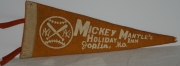 1960,s era 12 inch mini pennant