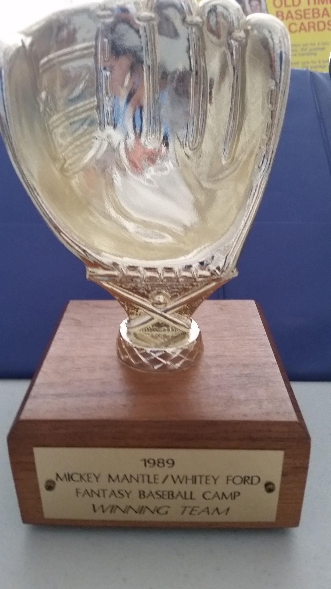 1989 fantasy camp winning team trophy