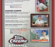 2008 topps heavy stock 4 page foldout